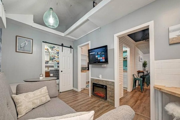 Smart TV, fireplace, books