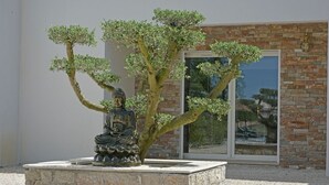 A statue of Buddha in a stone base, surrounded by a bonsai tree, in front of a building with a glass door and brick wall. - Villa in Montauroux with Pool and Forest Views (Montauroux)