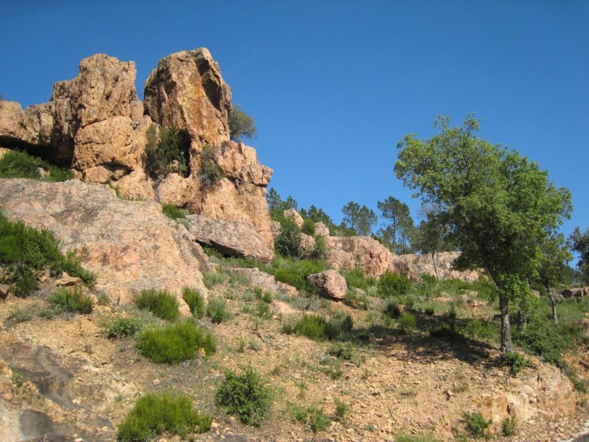 Un paysage rocheux, parsemé de gros blocs de pierre et d’une végétation clairsemée.
