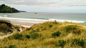 A coastal landscape with a beach, grassy dunes, and a distant hill.