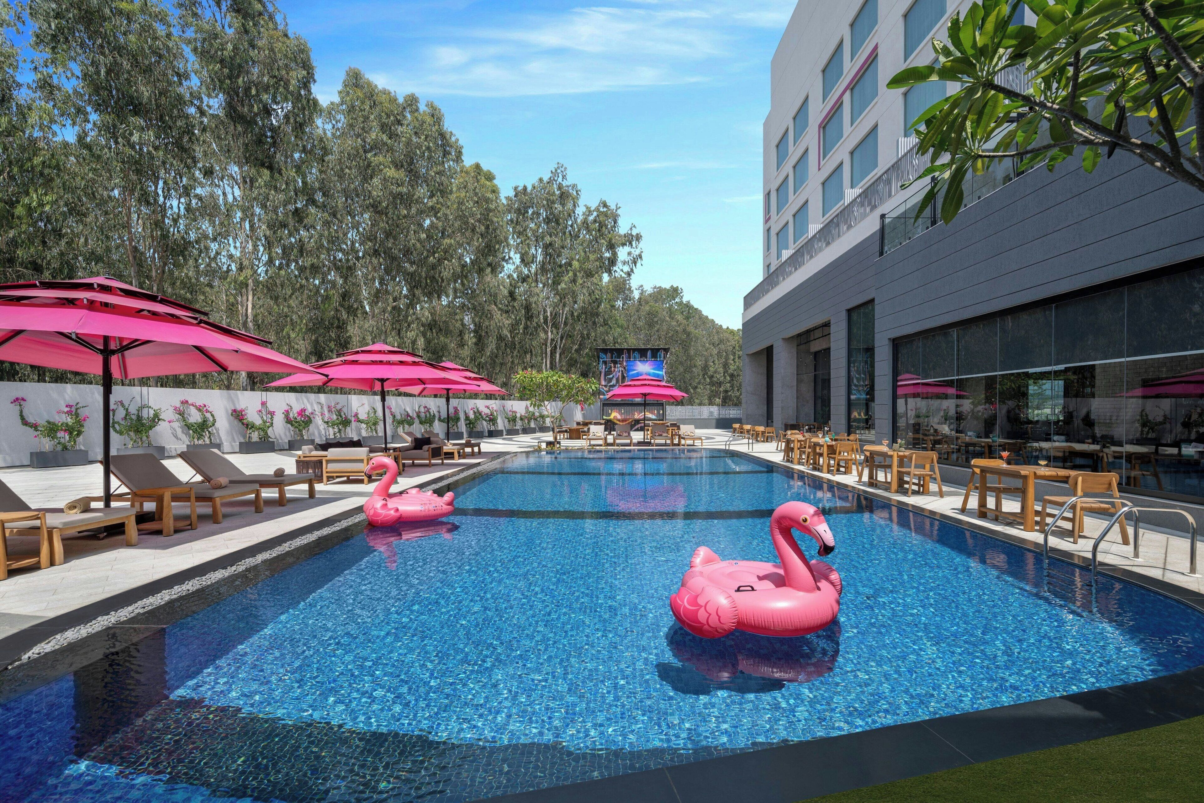 A swimming pool with pink flamingo floats, surrounded by lounge chairs and umbrellas, with a building and trees in the background.