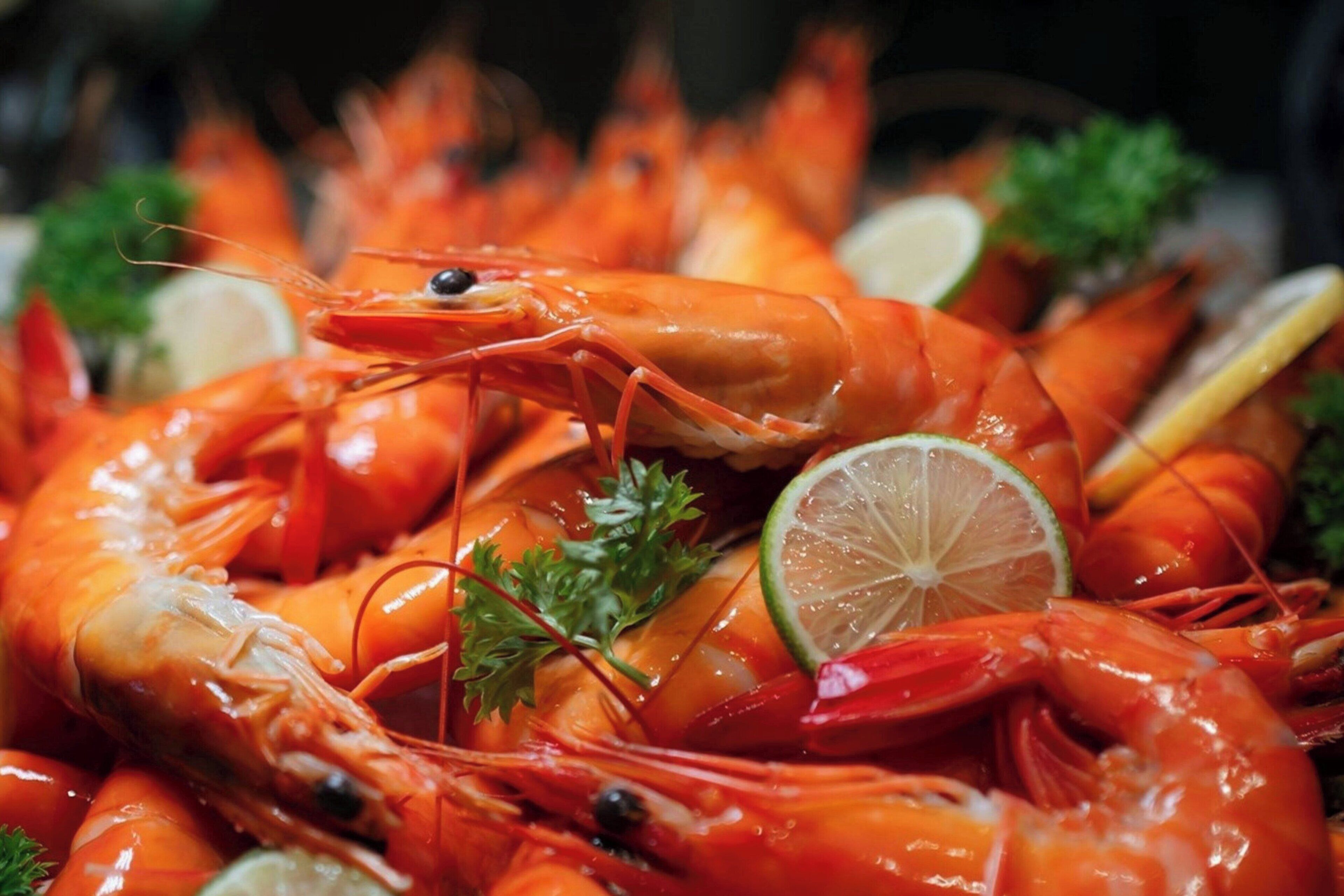 Une vue rapprochée de crevettes cuites, garnies de persil et de tranches de citron.