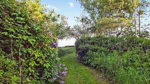 A narrow, grassy path flanked by dense foliage and flowering plants, leading towards a body of water. - 3 bedroom stunning home in Ystad (Ystad)