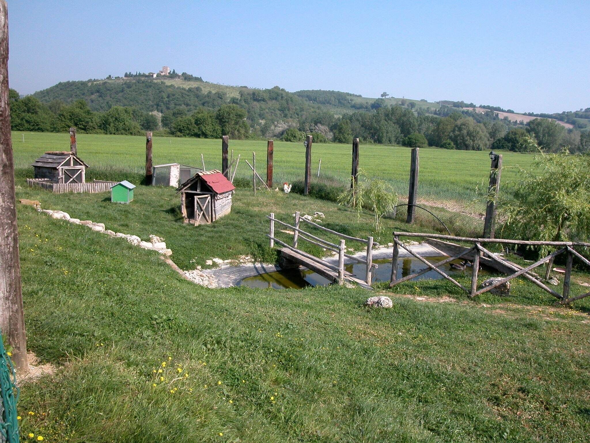 Paesaggio rurale con un piccolo ponte di legno sopra un ruscello, circondato da campi verdi e una collina sullo sfondo.
