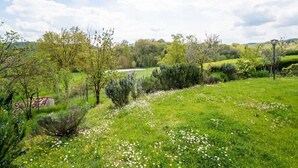 Üppige grüne Landschaft mit verschiedenen Bäumen und einem Feld voller weißer Blüten.