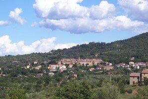 Vista aèria