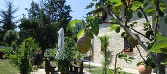 Holiday Home in Pietrafitta near Lake Trasimeno