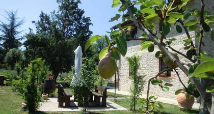 Holiday Home in Pietrafitta near Lake Trasimeno