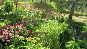 A lush garden with various plants and flowers, a stone wall, and trees. - Escape Near Cinque Terre (Moneglia)