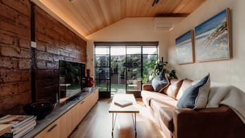 Smart TV, fireplace, books