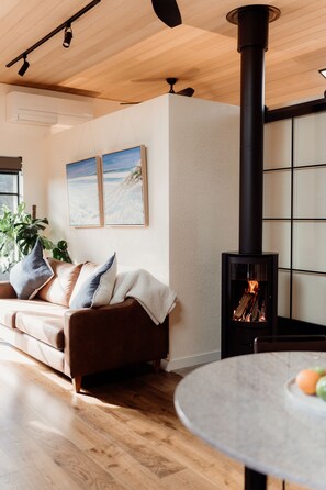 Smart TV, fireplace, books