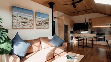 Smart TV, fireplace, books