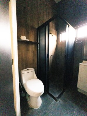 Serviettes fournies, savon, papier toilette