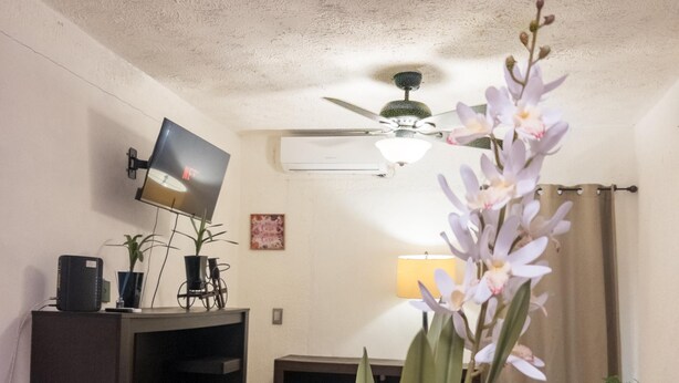 Una sala de estar con televisor, ventilador de techo, sofá y una mesa con una planta.