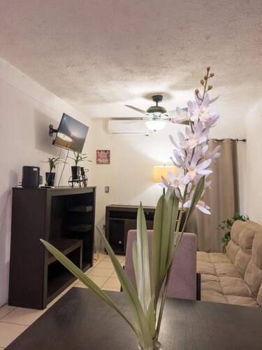 Spacious house, forum, acaya, home depot