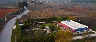 l'ombelico di Selcuk