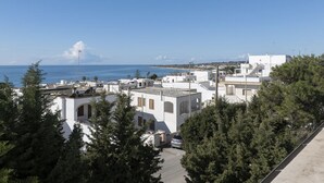 Eksteriør