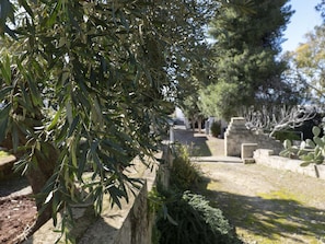 A cemetery with olive trees and stone structures.