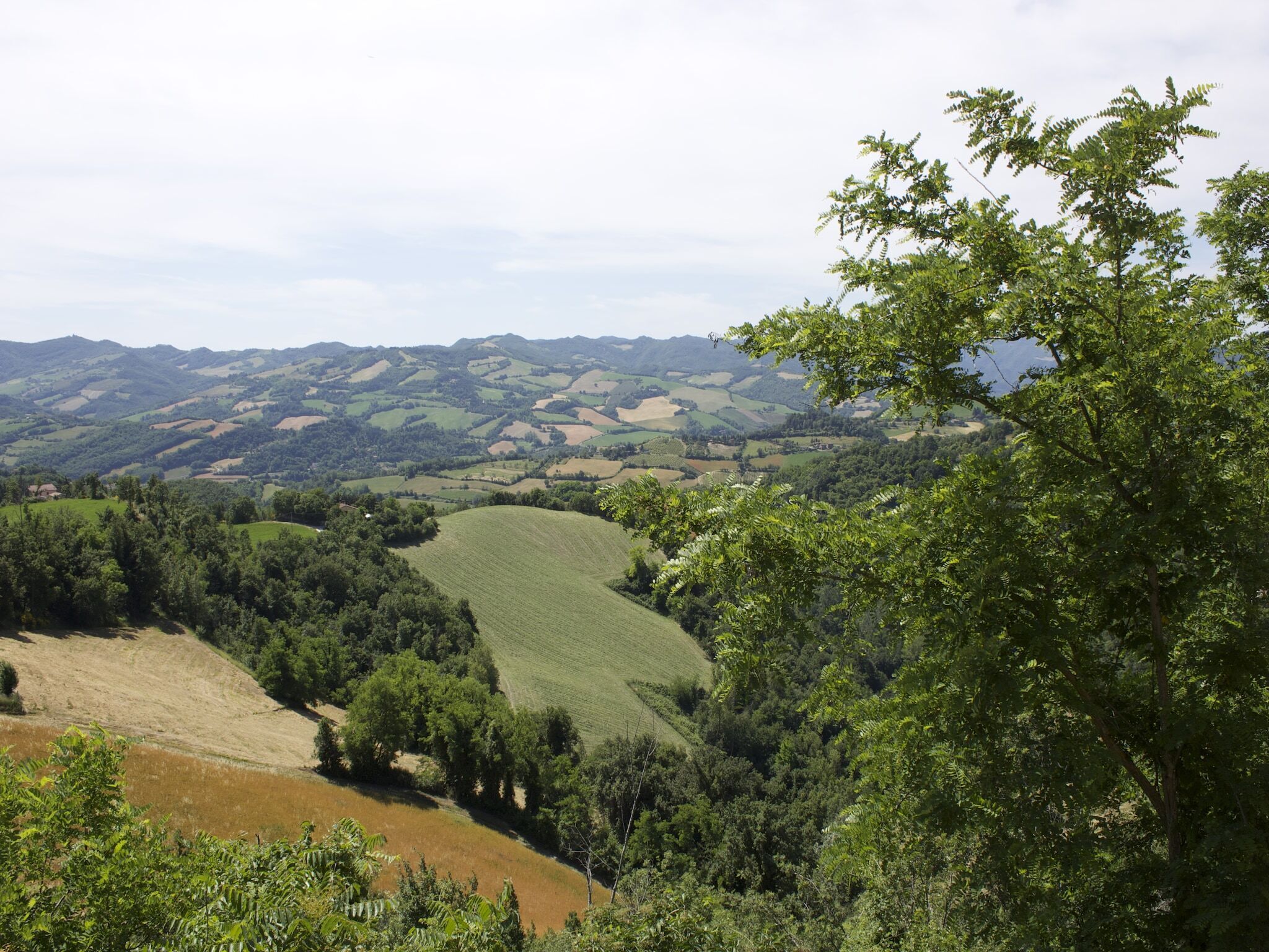 Surroundings [summer] (1-5 km)
