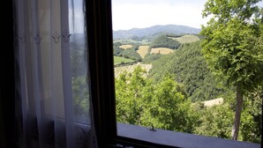 Vista desde una ventana con cortina, que da a un paisaje de colinas ondulantes y árboles.