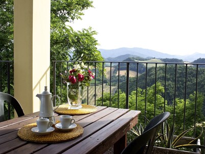 Stay with Balcony Views