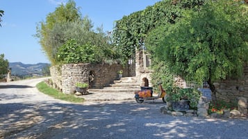 Parco della struttura