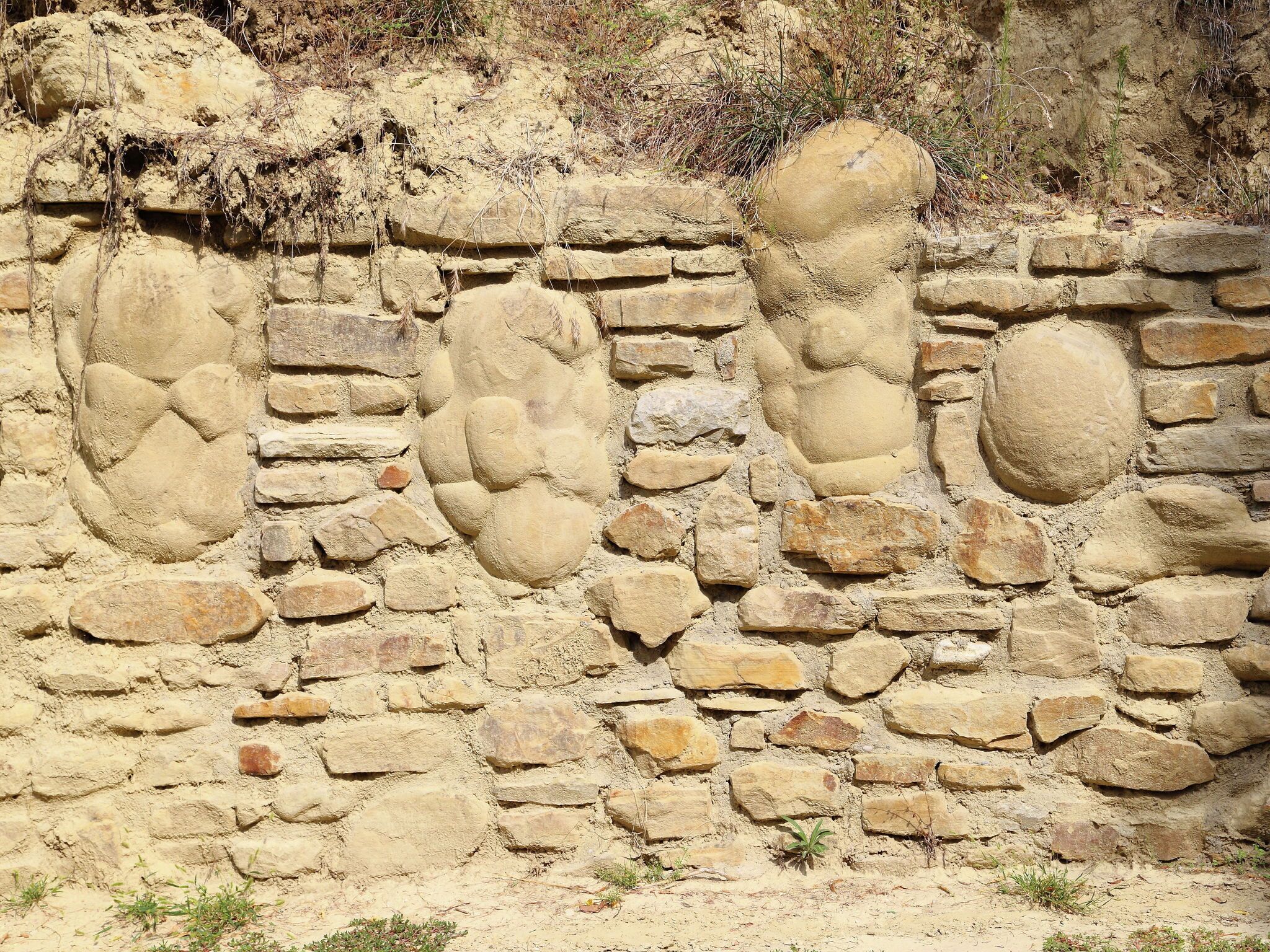 A stone wall with irregularly shaped stones and some vegetation growing in the crevices.