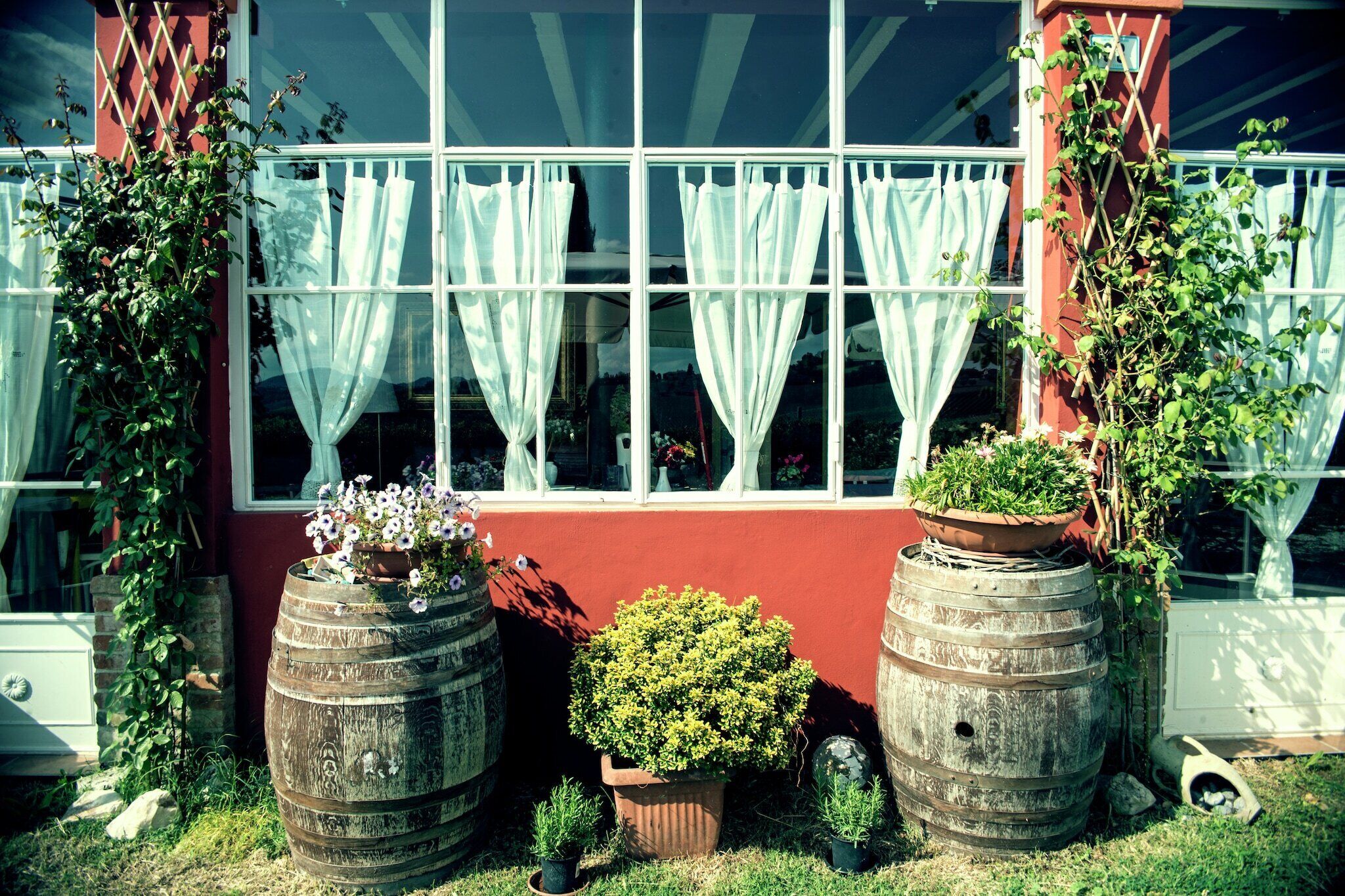Un edificio con ventanas amplias, cortinas blancas y plantas en macetas.
