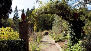 Un sentier de jardin qui traverse une arche rustique, bordée d’une végétation luxuriante et d’arbres.