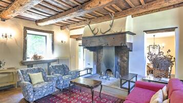 TV, fireplace, books