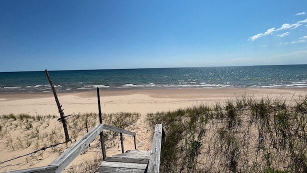 Una escalera de madera que baja hacia una playa arenosa, con el océano al fondo.