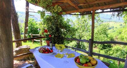 Charming Tuscan Farmhouse