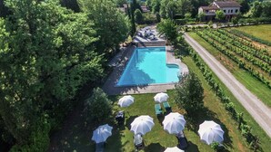 Una piscina circondata da vegetazione rigogliosa, con un vigneto su un lato e una strada che conduce a un edificio.