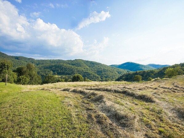 Un paisaje rural con colinas ondulantes, cielo despejado y un campo cubierto de hierba.