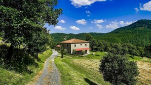 A stone house with a red roof, surrounded by lush greenery and a gravel path leading to it.