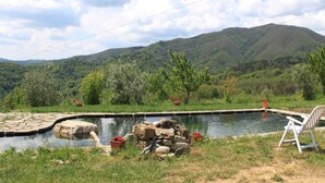 A serene outdoor setting with a small pond, surrounded by lush greenery and mountains in the background. - Holiday Home in Tuscany with Natural Pond (Mulazzo)