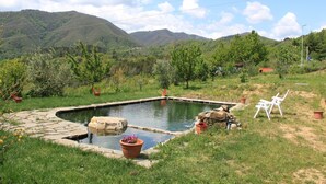 A small outdoor swimming pool surrounded by grass and potted plants, with a chair and a rock formation nearby. - Holiday Home in Mulazzo near Tuscan Castles (Mulazzo)