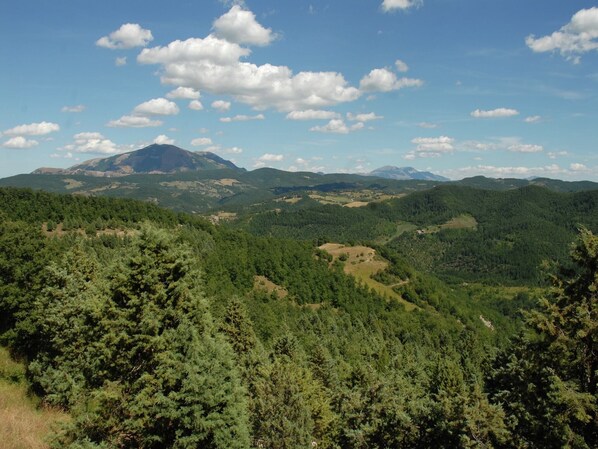 Un paisaje montañoso con bosques densos y un cielo despejado.
