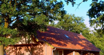 Holiday Home in Geesteren with Terrace