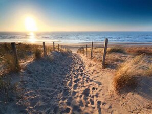 A sandy beach path leading to the ocean with a wooden fence on one side. - Apartment in North Holland (Bergen aan Zee)