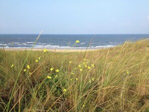 In Strandnähe