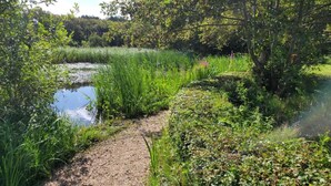 A natural landscape with a gravel path leading to a pond surrounded by lush greenery and trees. - Apartment in Bergen aan Zee near the Beach (Bergen aan Zee)