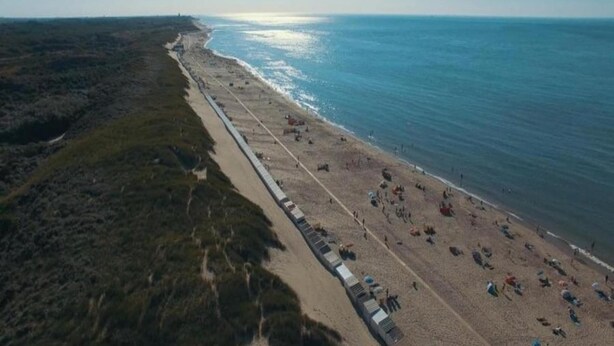 An aerial view of a beach with a long stretch of beach chairs and umbrellas, a sandy shore, and a clear sky.