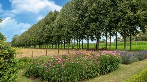 A landscaped garden with a variety of flowering plants and trees. - Mansion in Deil by River Linge (Deil)