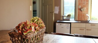 Ferme acceptant les animaux de compagnie