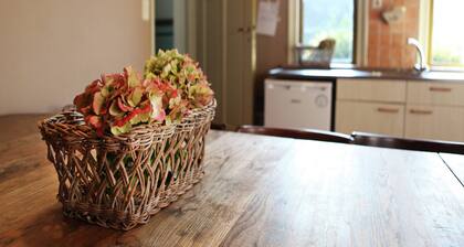 Pet-Friendly Farmhouse