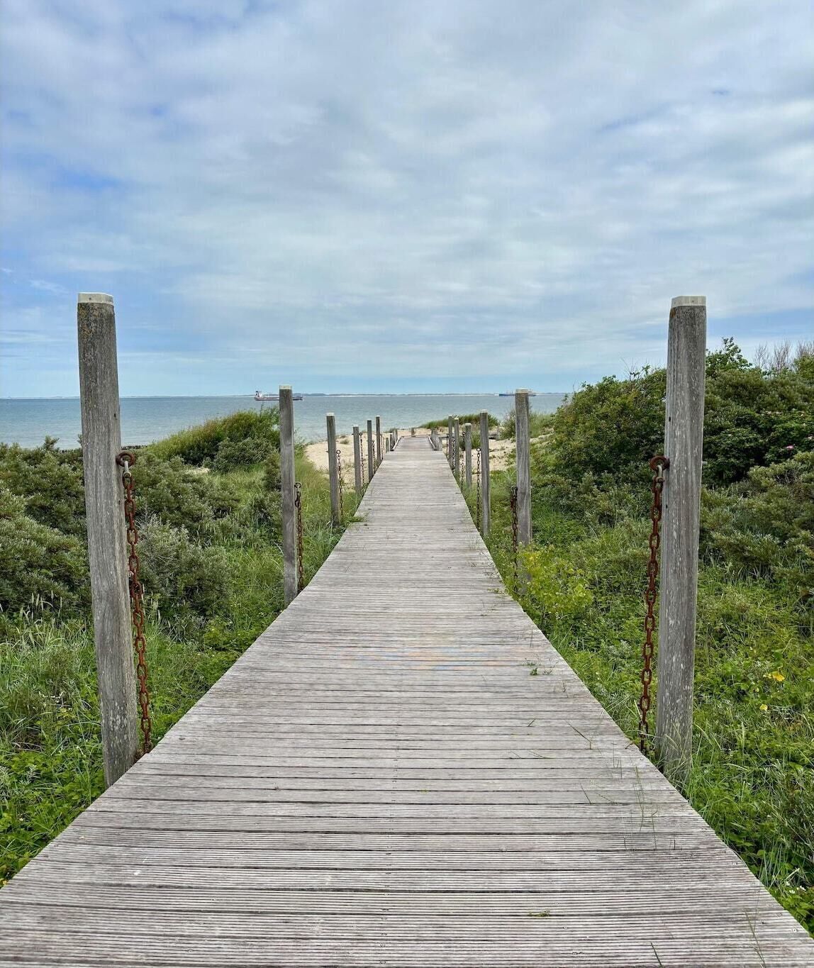 Surroundings [summer] (1-5 km)
