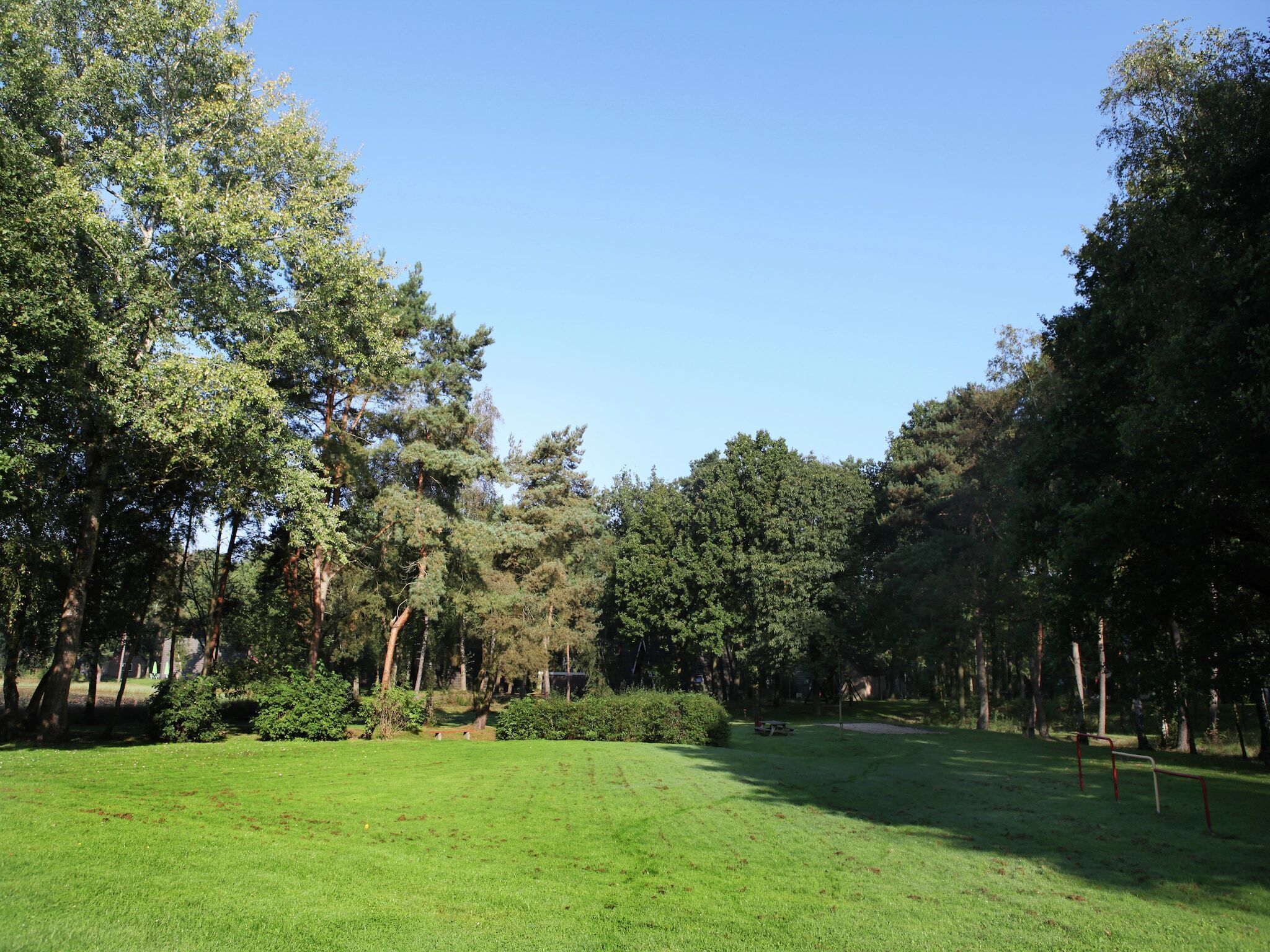 Un parque con un campo cubierto de césped, árboles y un cielo despejado.
