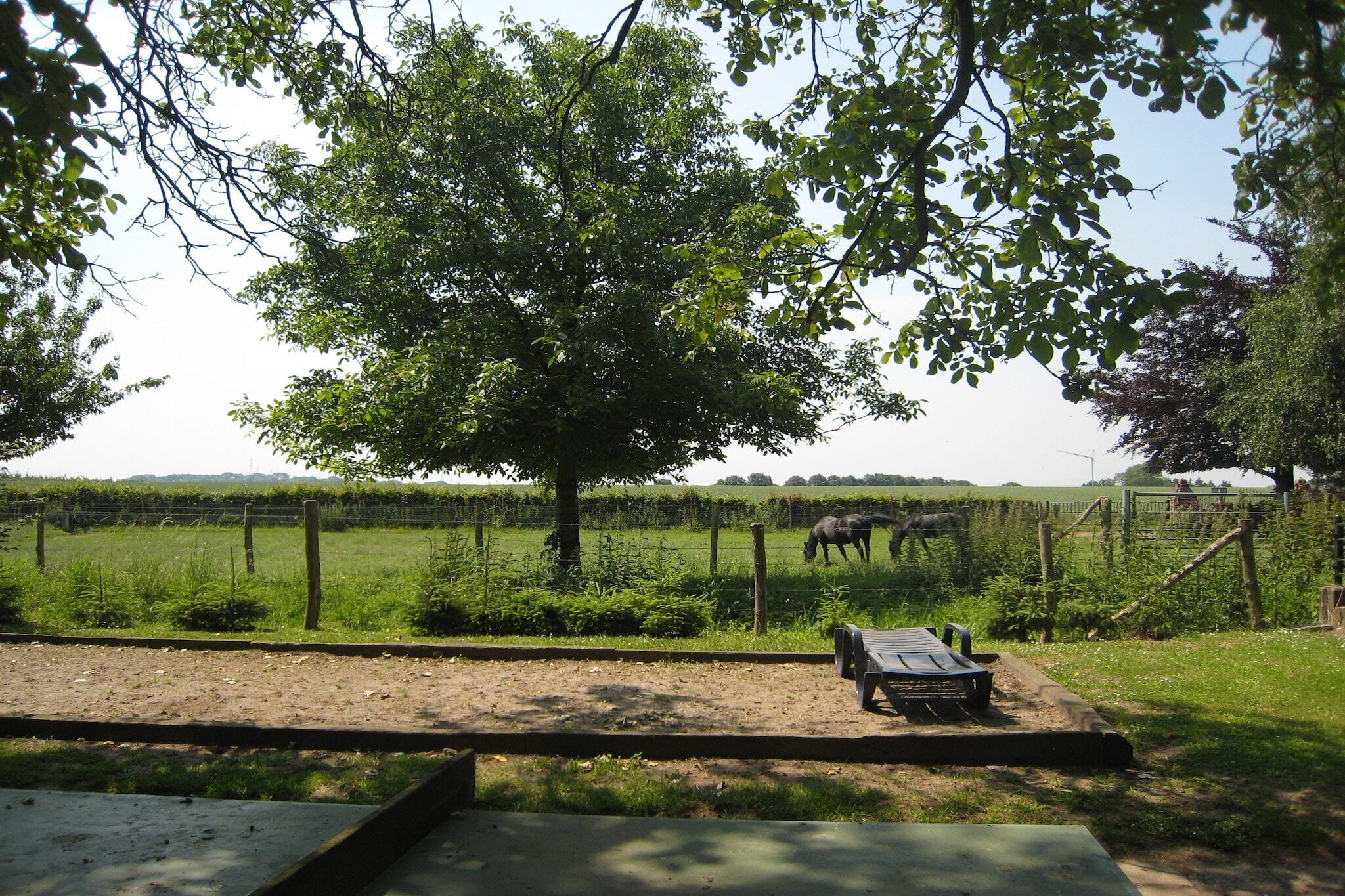 A fenced outdoor area with a picnic table and benches, surrounded by greenery and a tree.