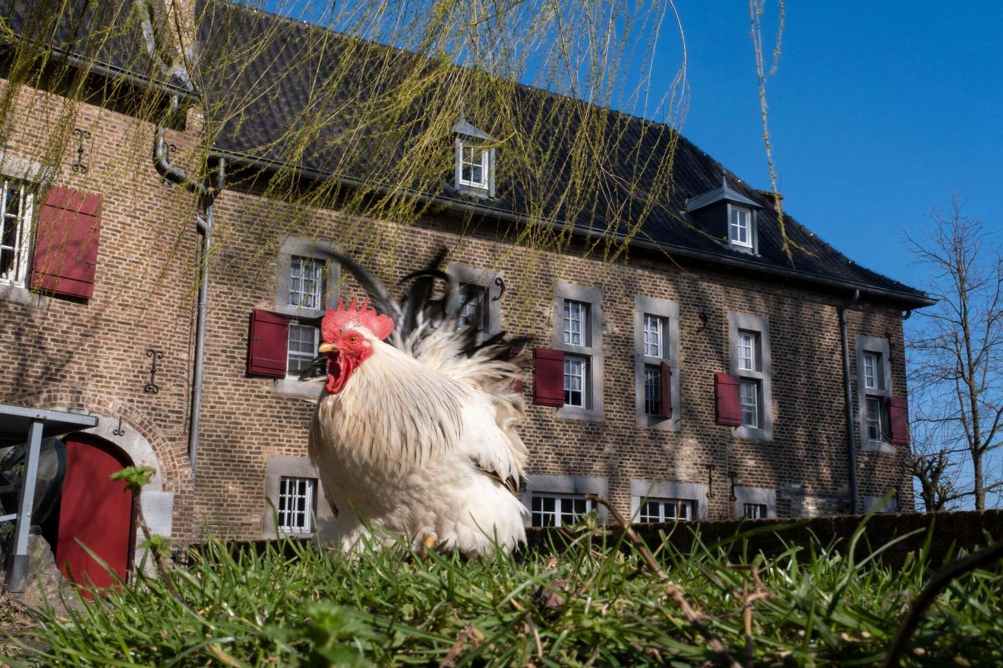 Terrein van de accommodatie